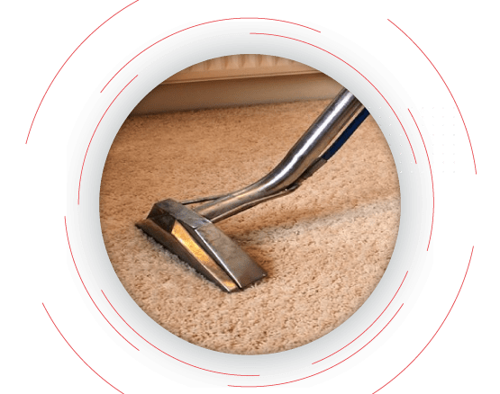 Carpet Steam Cleaning Adelaide