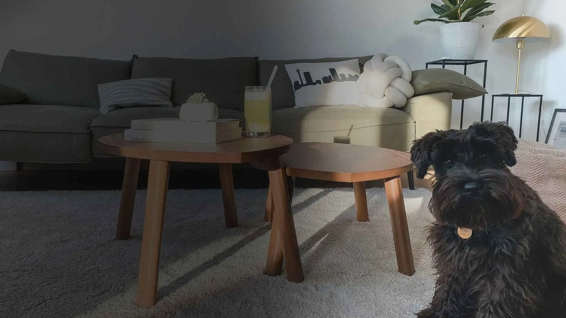 cleaning services Adelaide